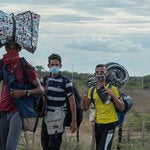 migracion
