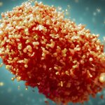Virus de mpox o viruela sísmica