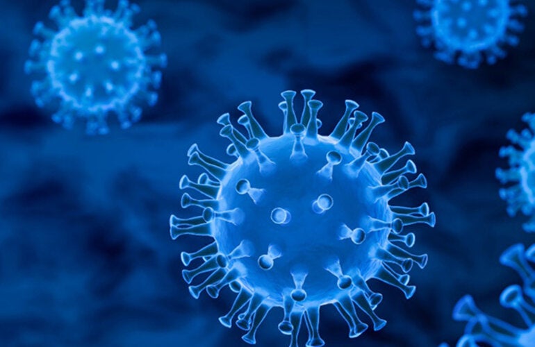 Influenza virus