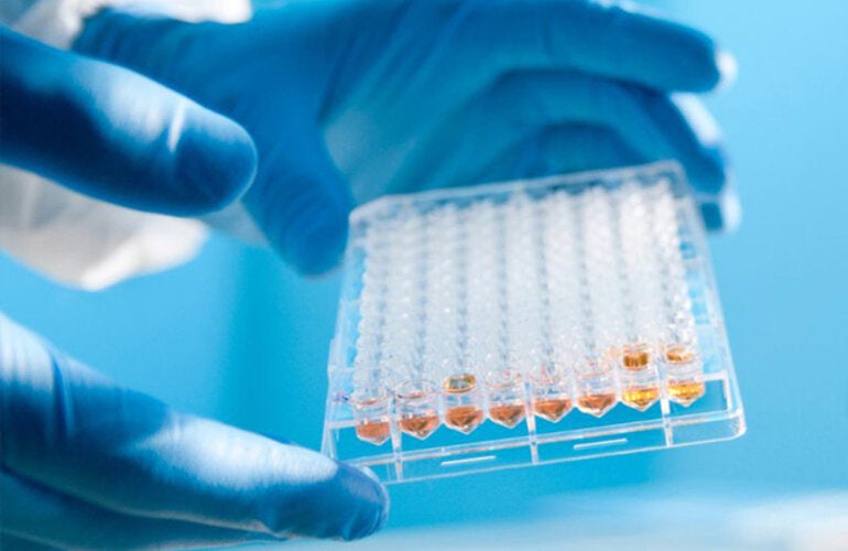 Laboratory