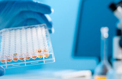 Laboratorio
