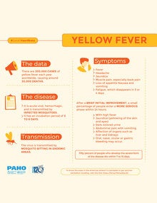 Yellow Fever