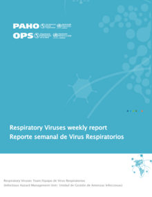 Cover Actualización regional, Influenza y otros virus respiratorios. Semana Epidemiológica 10 (14 de marzo del 2025)